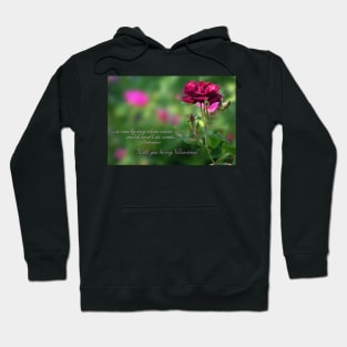 A rose by any other name... (Will you be my Valentine?) Hoodie